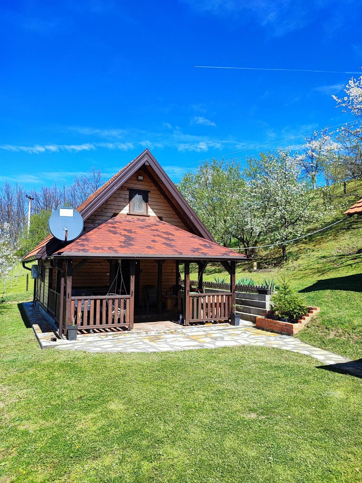 Brvnara Na Bregu Villa Bajina Basta Exterior photo